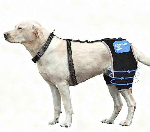Soporte para displasia de cadera para perro con paquete extraíble calientefrío, transpirable, cómodo soporte de cadera y pierna trasera para ACL
