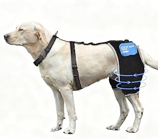 Dog Hip Dysplasia Brace with Removable Hot/Cold Pack