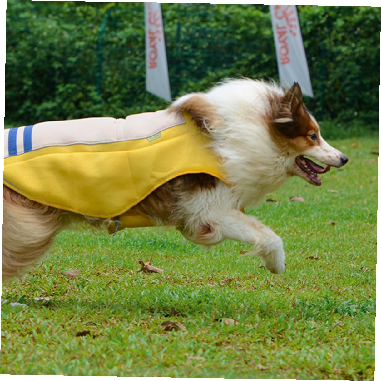 SHINEOFI Gilet D'été Veste Rafraîchissante Pratique et Respirante en Polyester pour Animaux de Compagnie Jaune pour Chiens, Défilés D'été Fêtes du Weekend