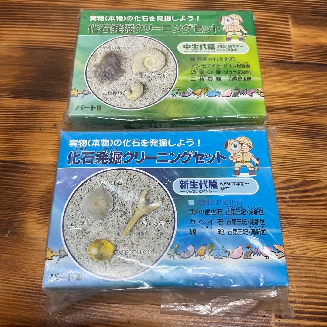 炭素質 アエンデ隕石 エンドカット 標本 炭素質！アエンデ隕石 標本