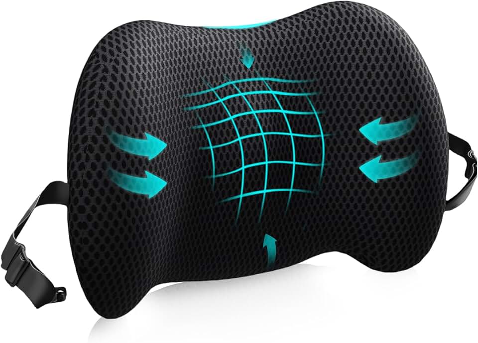 Lumbar Support Pillow for Office Chair, Car Lumbar Pillow Lower Back Pain Relief, Memory Foam Back Cushion with 4D Mesh Cover and 