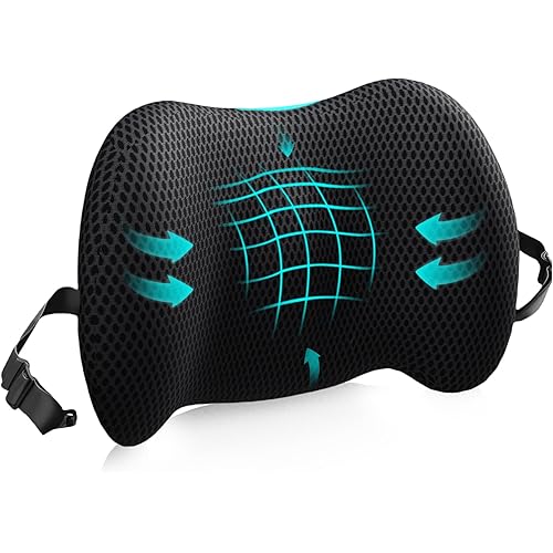 Lumbar Support Pillow for Office Chair, Car Lumbar Pillow Lower Back Pain Relief, Memory Foam Back Cushion with 4D Mesh Cover and Adjustable Straps, Ergonomic Chair Back Pillow for Car,Bed, Gaming
