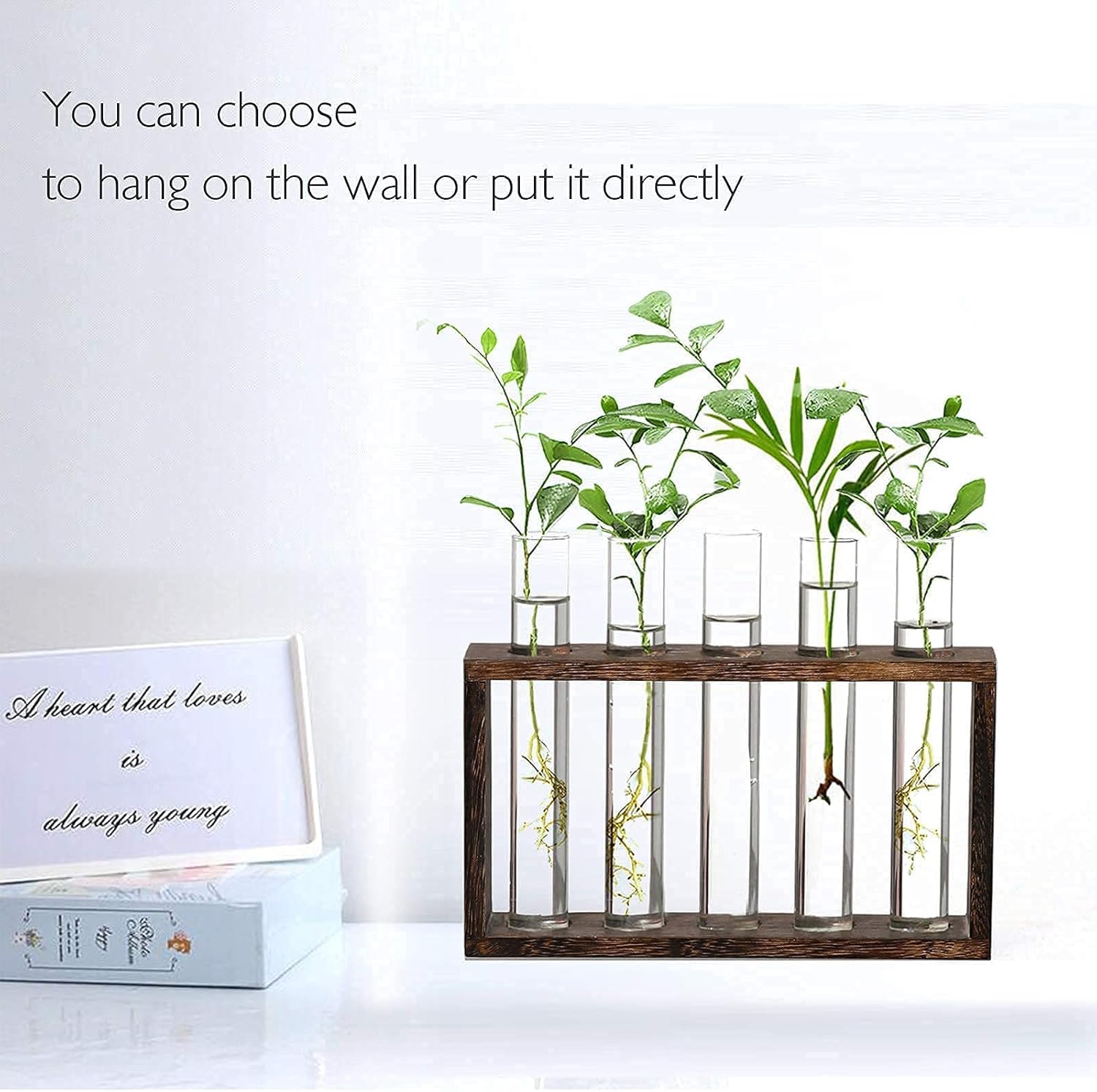 XXXFLOWER Plant Terrarium with Wooden Stand, Air Planter Bulb Glass Vase Metal Swivel Holder Retro Tabletop for Hydroponics Home Garden Office Decoration