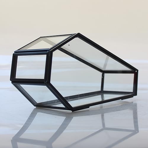 Miniatura 6 de Pequeña caja de vidrio con sombra de ataúd negro, caja de terrario de ataúd de vidrio con tapa, almacenamiento gótico de Halloween, caja de ataúd