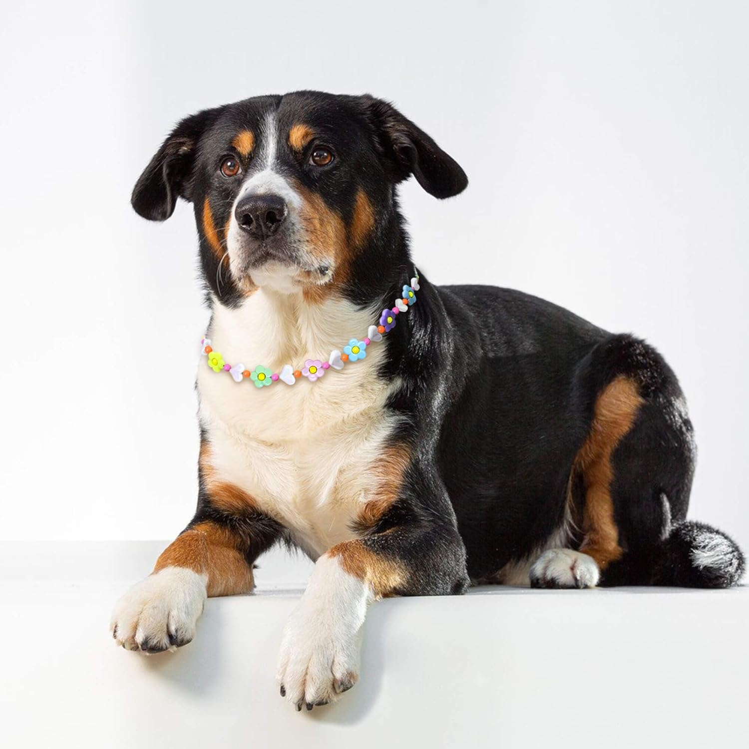 JOGIA® Floral Beaded Dog Collar – Handmade Decorative Necklace for Girl Dogs