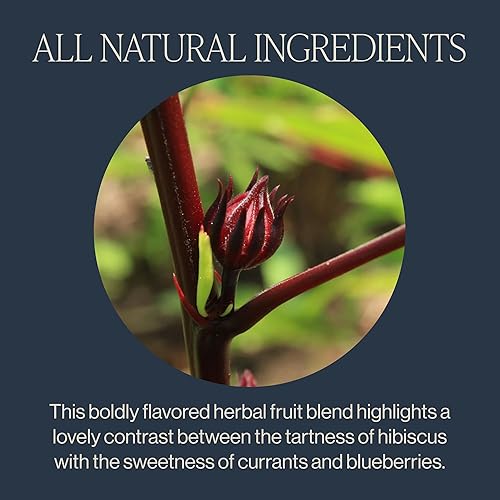 Vista 38 de Rishi Tea Mystic Mint - Té de hierbas orgánico, sin cafeína, hojas sueltas, mezcla de menta calmante – 16 onzas, más de 55 porciones