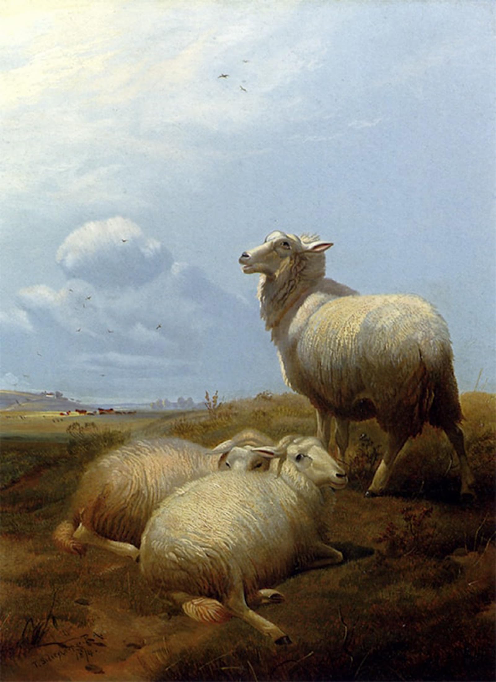 ARTXLXXBN Famous Print Painting Colorful Art Print Sheep At Pasture by Thomas Sidney Canvas Art Decorations for Home Decor 60x90cm