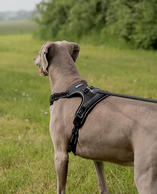 Foto 3 de 6 de lionto Arnés para Perros Acolchado Anti tirones Reflectante Arnés de Seguridad Ajustable, Talla XL, Negro