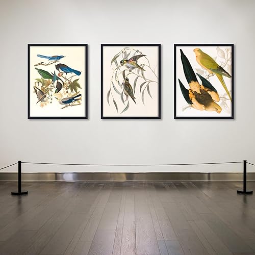 Miniatura 5 de Giftgarden Marcos negros de 16 x 20 pulgadas, paquete de 7 portarretratos grandes de 20 x 16 pulgadas, para pared, vertical, orientación paisajística