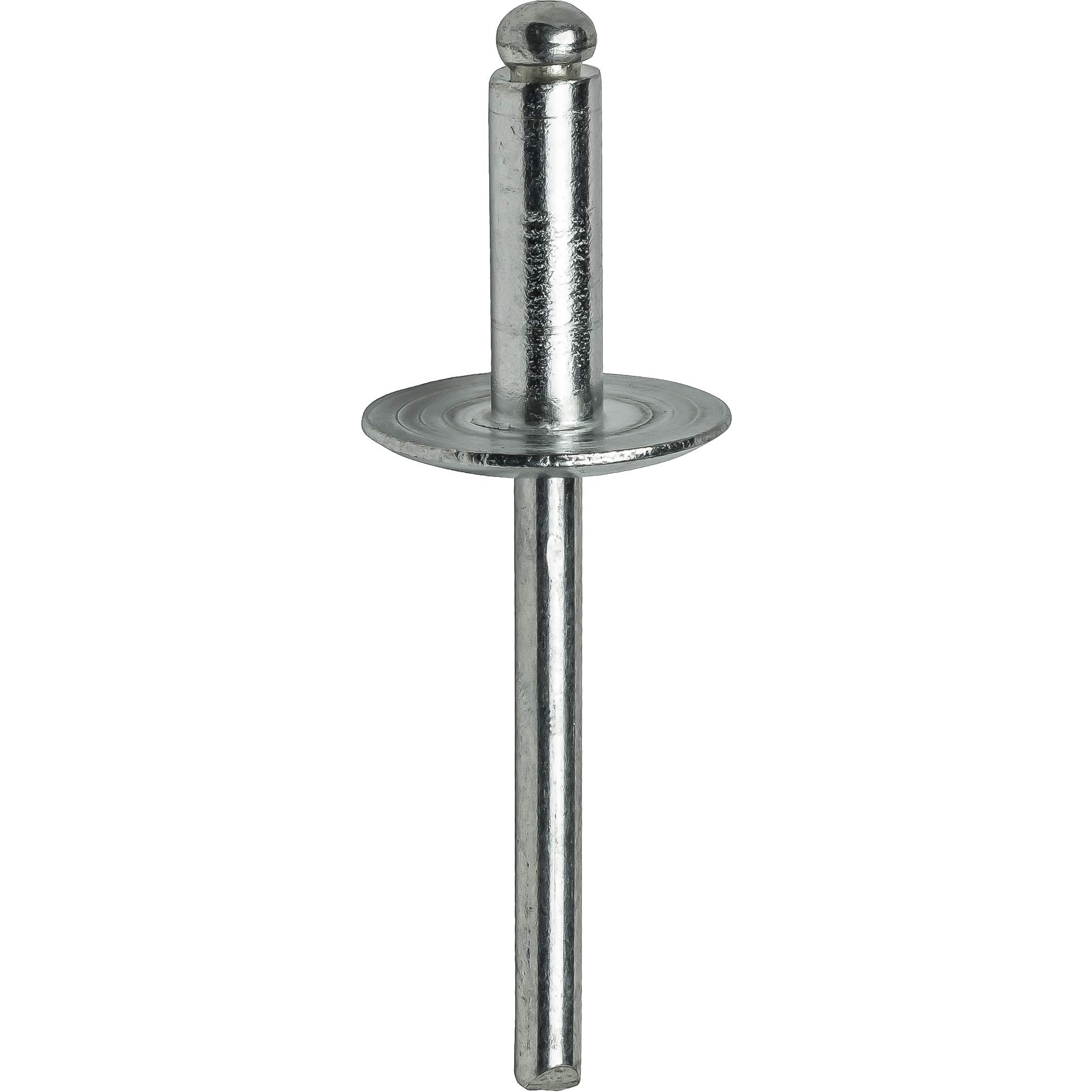 Amazon.com: Fastenere Large Flange Pop Rivets - 3/16