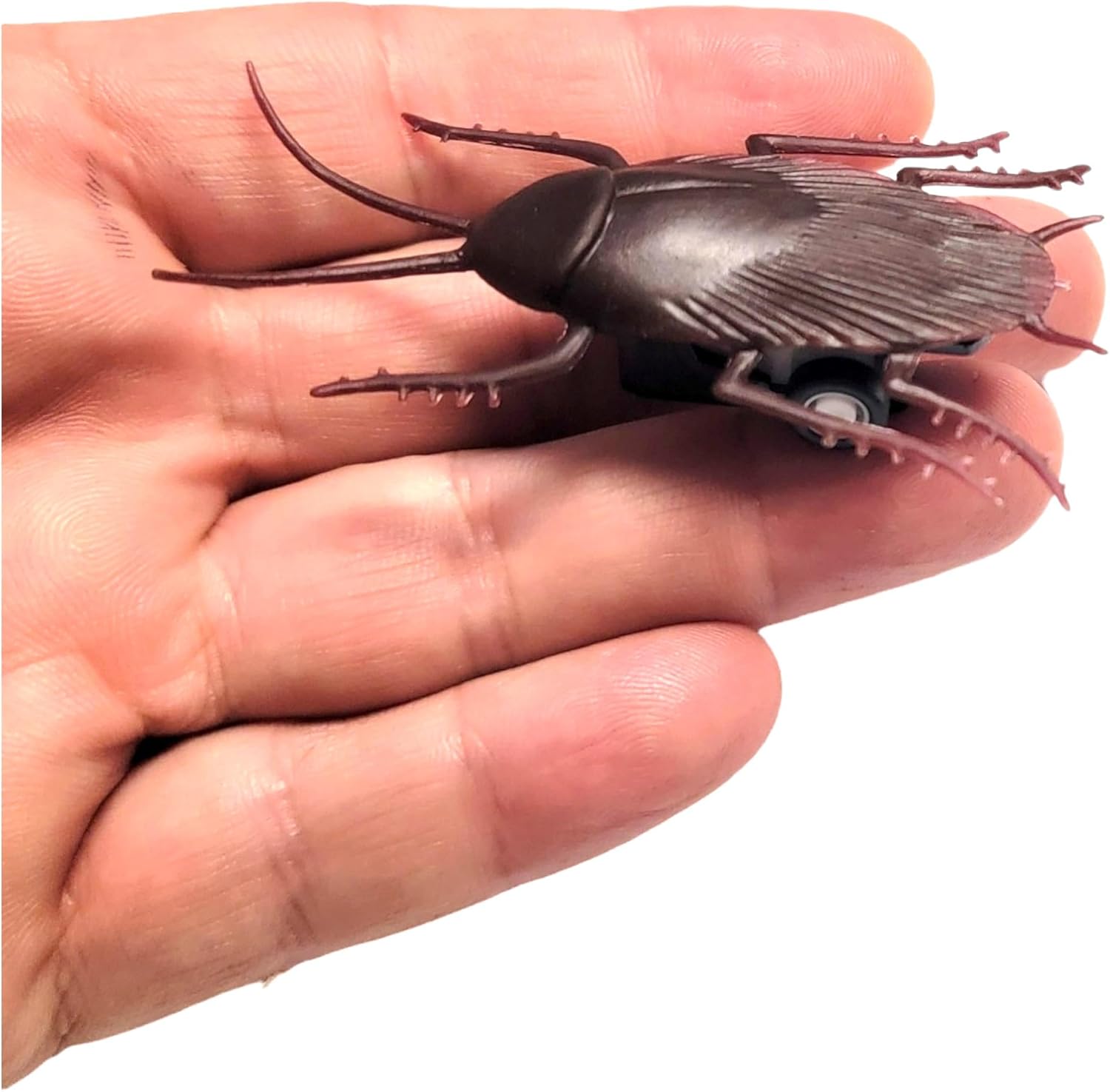 Pull Back Fake Speedy Cockroach Toy (2.5") Plastic Insect Crawling Brown Realistic Lifelike Roach Super Fast Prank Scary Gag Joke Bug for Party Halloween (Cockroach, One, Pack)