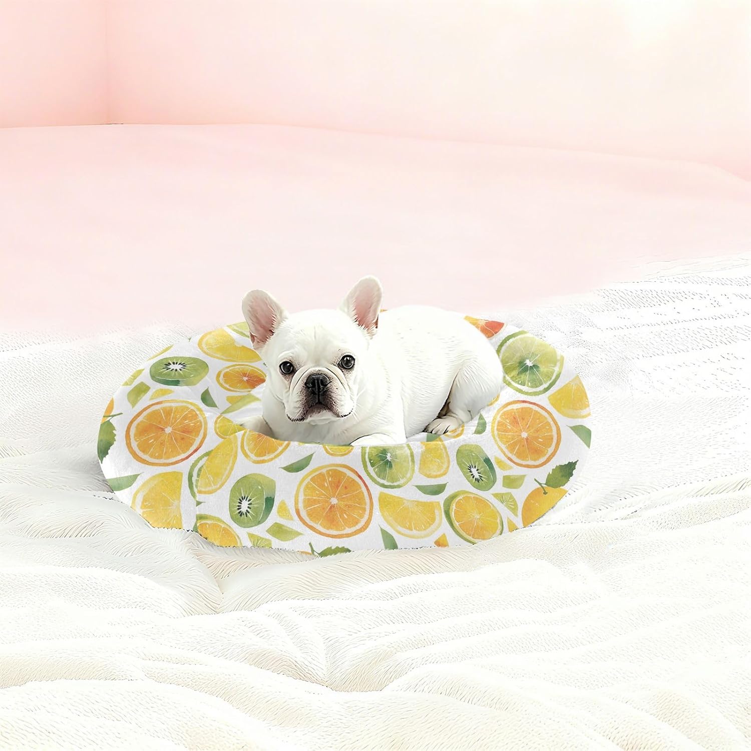 Pet Dog Bed Donut Cuddler Fluffy Cat Pillow Bed for Small Size Pets Sleeping M Watercolor Pineapples Kiwi