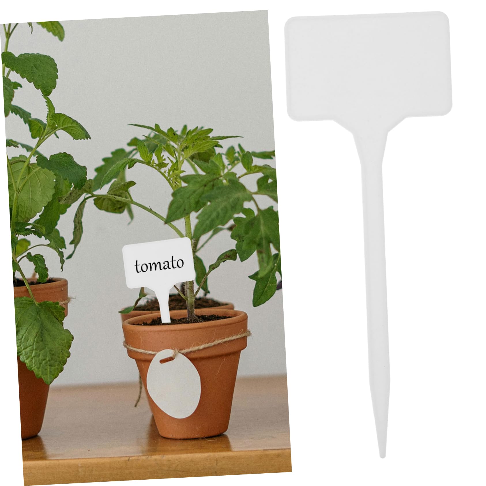 Sosoport 150pezzi Etichette Per Piante Plastica Segnaletica Per Giardino e Piante Vaso Facili Da Scrivere e Riutilizzabili Per Identificare Fiori e Vegetali Accessorio Pratico Per