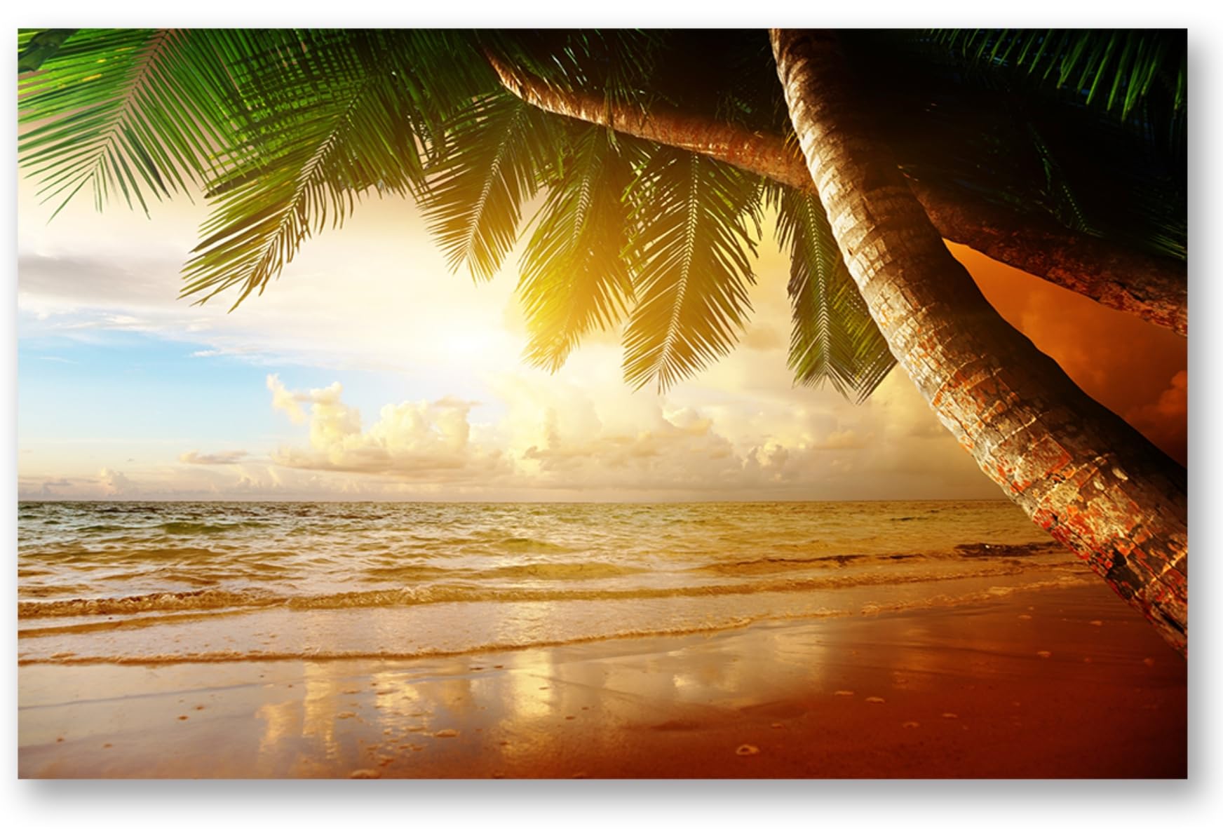 TRUECANVAS Beach Tropical Ocean Sunset Palm Summer Sea, Wooden Framed Canvas Paintings for Home Decor | Bedroom, Living Room,Wall Decoration | Wall Art Painting, CT0624, Size 16 x 24 in