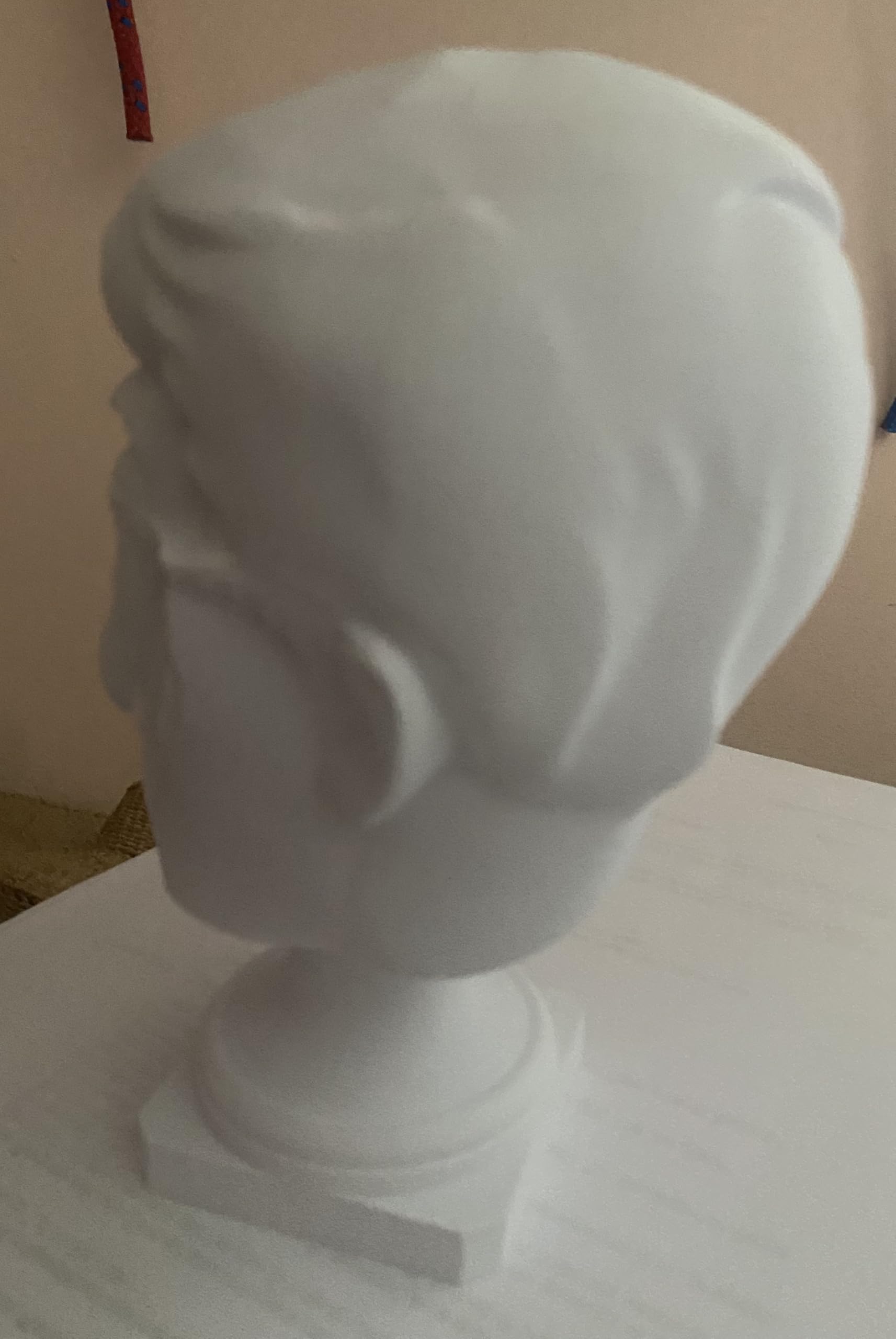 Busto 3D Personalizzato in Materiale Atossico, Stampa 3D di Persone e Animali, 20 x 20 x 35 cm, Bianco