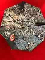 Amazon.co.jp: ヒグチユウコ 韓国 FOREST 傘 : ファッション