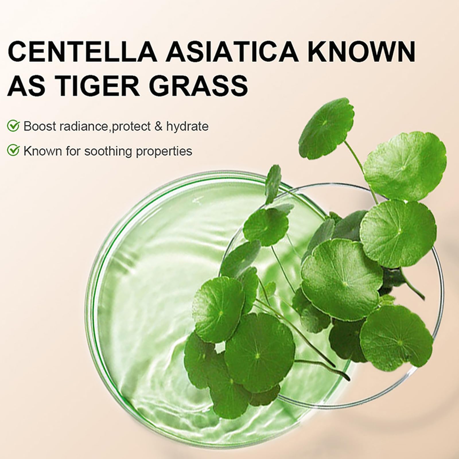 Centella Asiatica CC-Creme, CC Cream Fluid podkład do zakrywania niedoskonałości skóry, LSF 25+, do dostosowania kolorytu skóry, pełne pokrycie, korektor kolorów makijażu