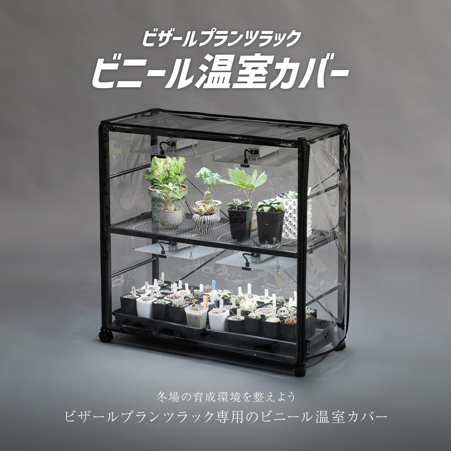 Amazon.co.jp: BIBILAB(ビビラボ) ビザールプランツラック ビニール