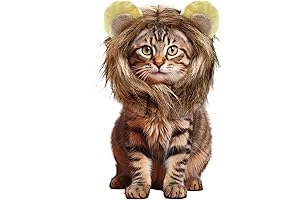 Adorable Lion Costume for Cats and Small Puppies