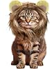 Cat Lion Mane Costume - Realistic Mane Wig with Ears for Small to Large Sized Cats Kitten and Puppy, Pet Halloween Costumes Birthday Party Cosplay Apparel Large