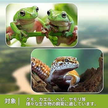 Amazon | レプタイルボックス 爬虫類飼育箱 アクリル素材