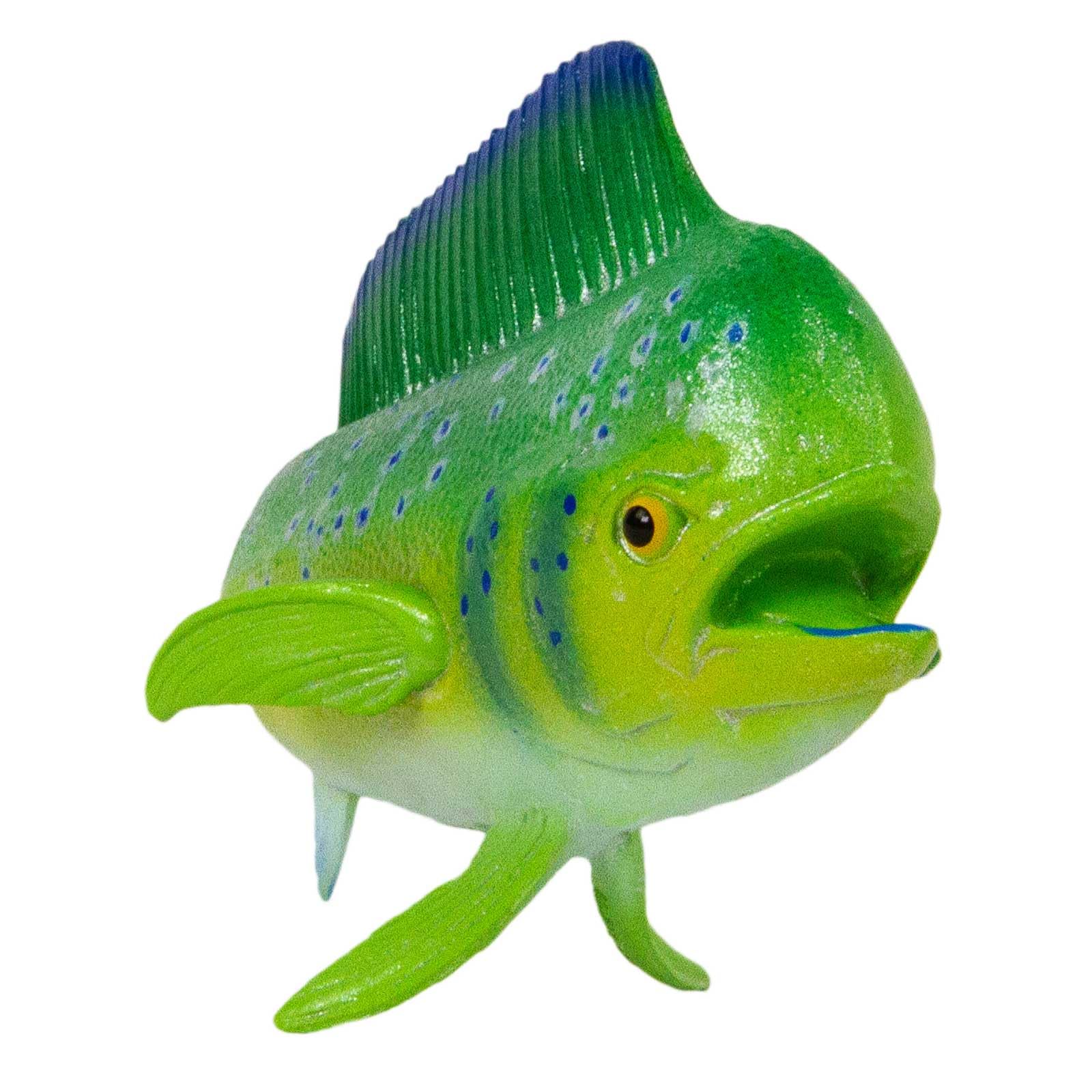 Amazon.com: Safari Ltd. Mahi-Mahi Figure - Realistic 6.5
