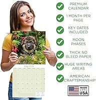 Vista 562 de Razas de Perros 2017