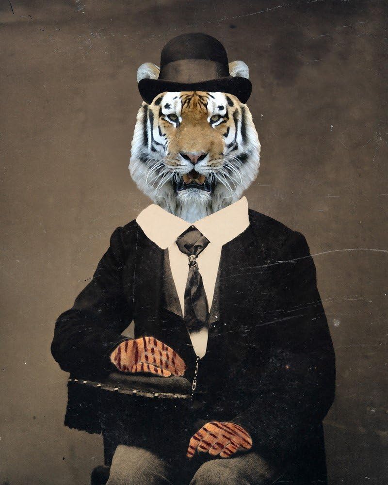 Victorian TIGER MAN portrait kitty cat with bowler hat altered anthro art print