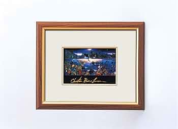 71BeBmKuxdL._AC_UF350,