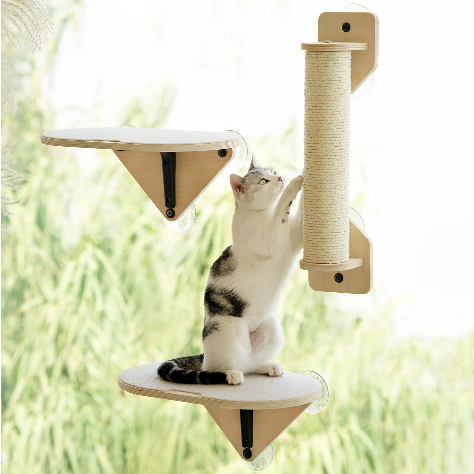EDAGNY Percha De Madera para Ventana para Gatos con Potentes Ventosas- 3Pcs Set