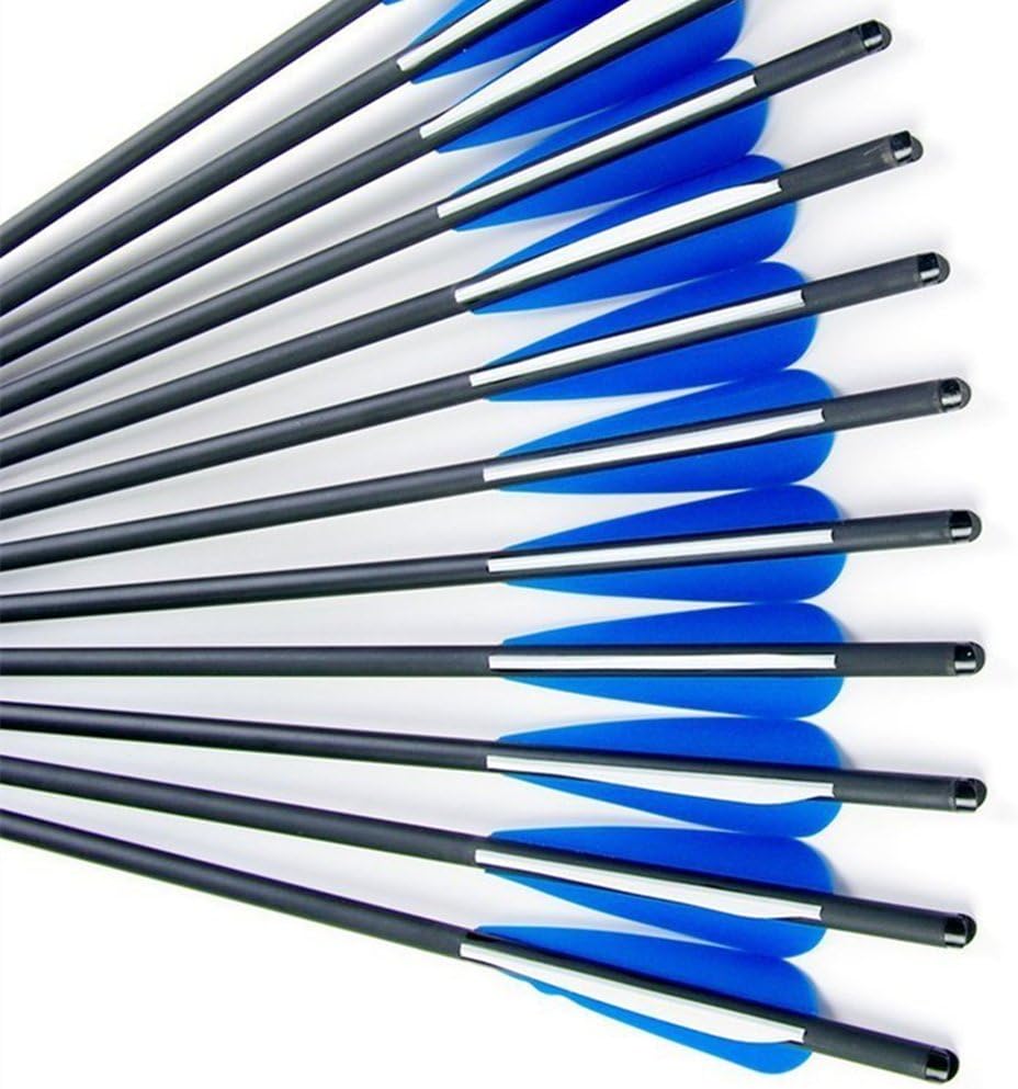 12pk Carbon Arrows Crossbow Bolts with Half Moon Nock and Aluminum Pin 100 Grain Screw-in Points
