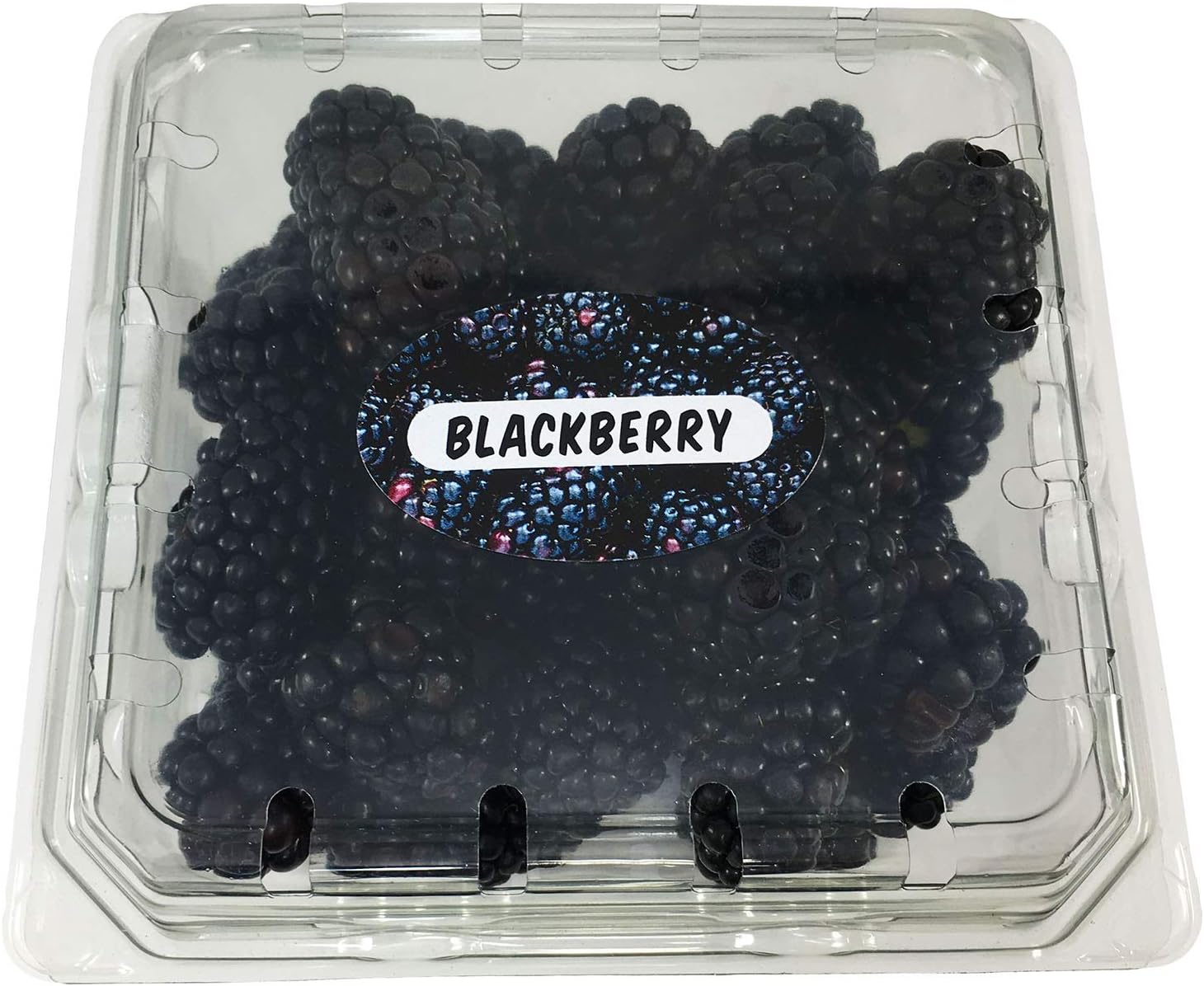 BlackBerry Grocery Store Food Labels 1.25 x 2 Inch Oval Shape 500 Total Adhesive Stickers