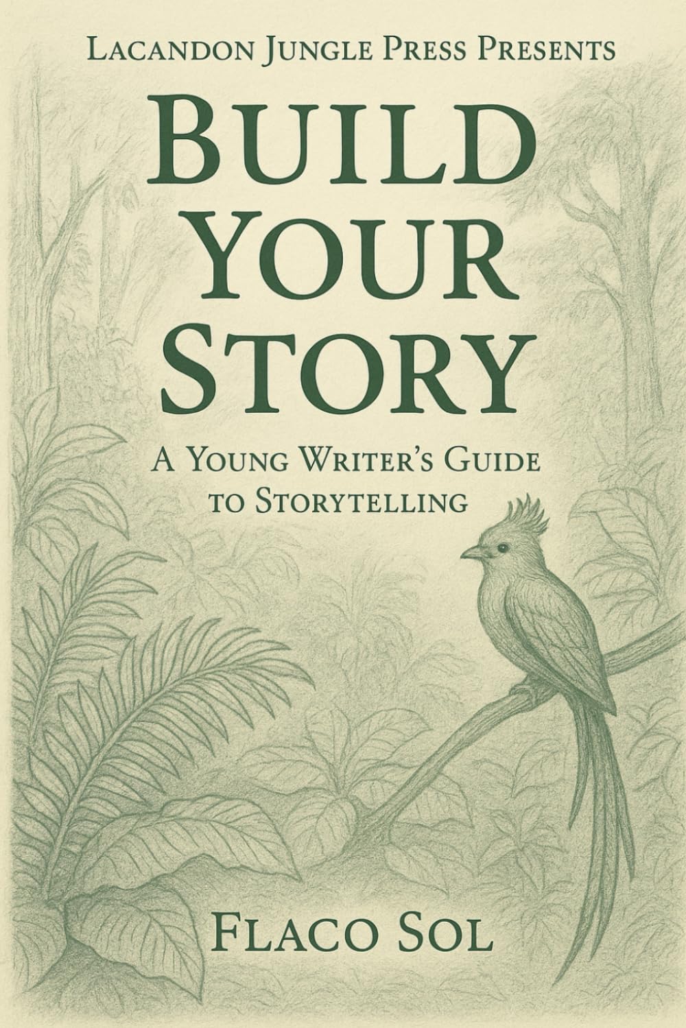 Build Your Story: A Young Writer's Guide to Storytelling (Lacandon Jungle Press Presents)