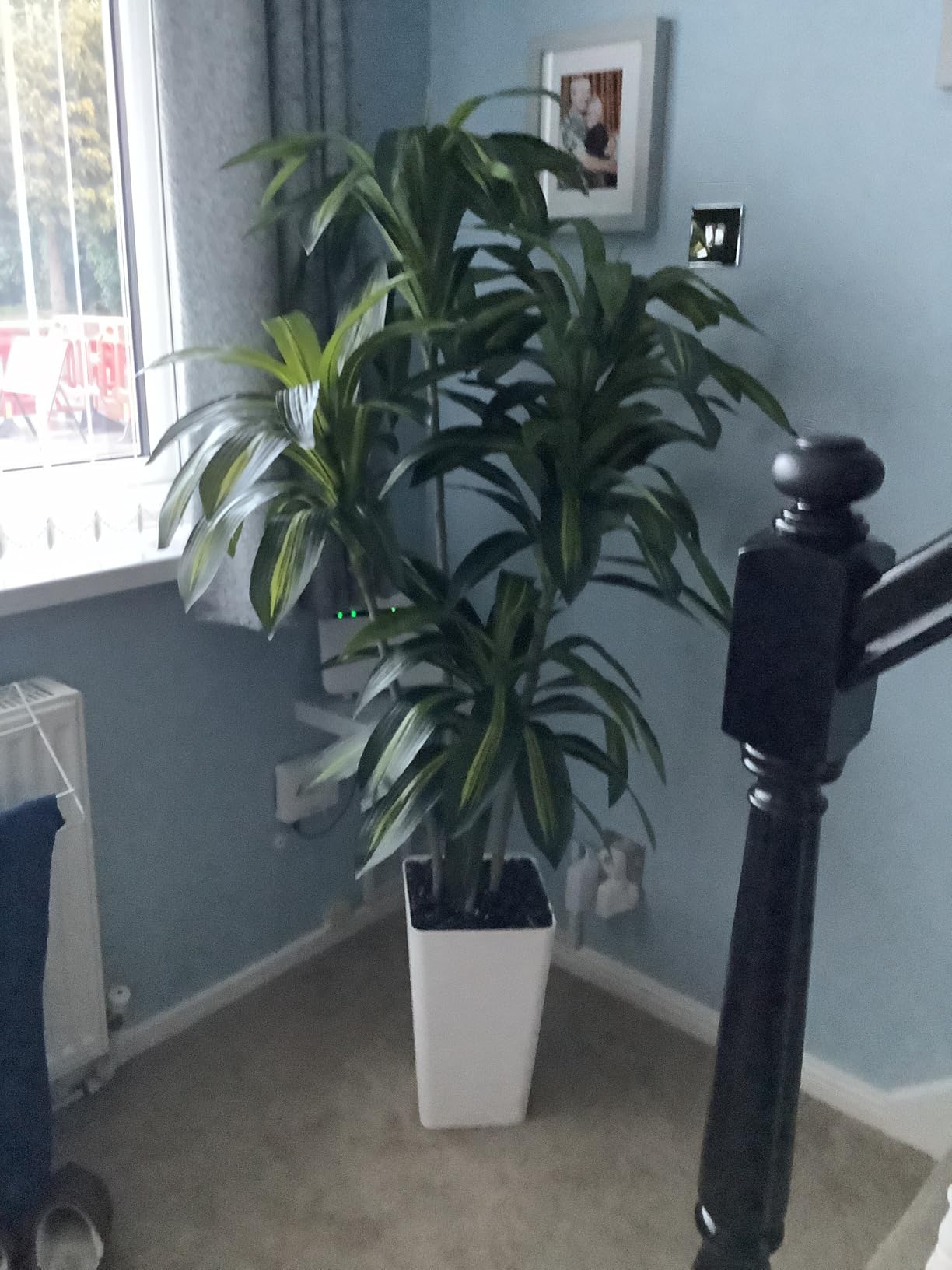 Customer photo