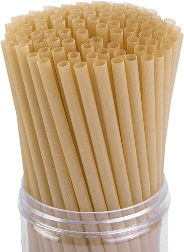HANSGO Sugarcane Straws, 200PCS Drink Straws Disposable for Hot Cold Drinks, Coffee, Cocktail, Juice Home Favor, The Beach Party, Natural Brown 200