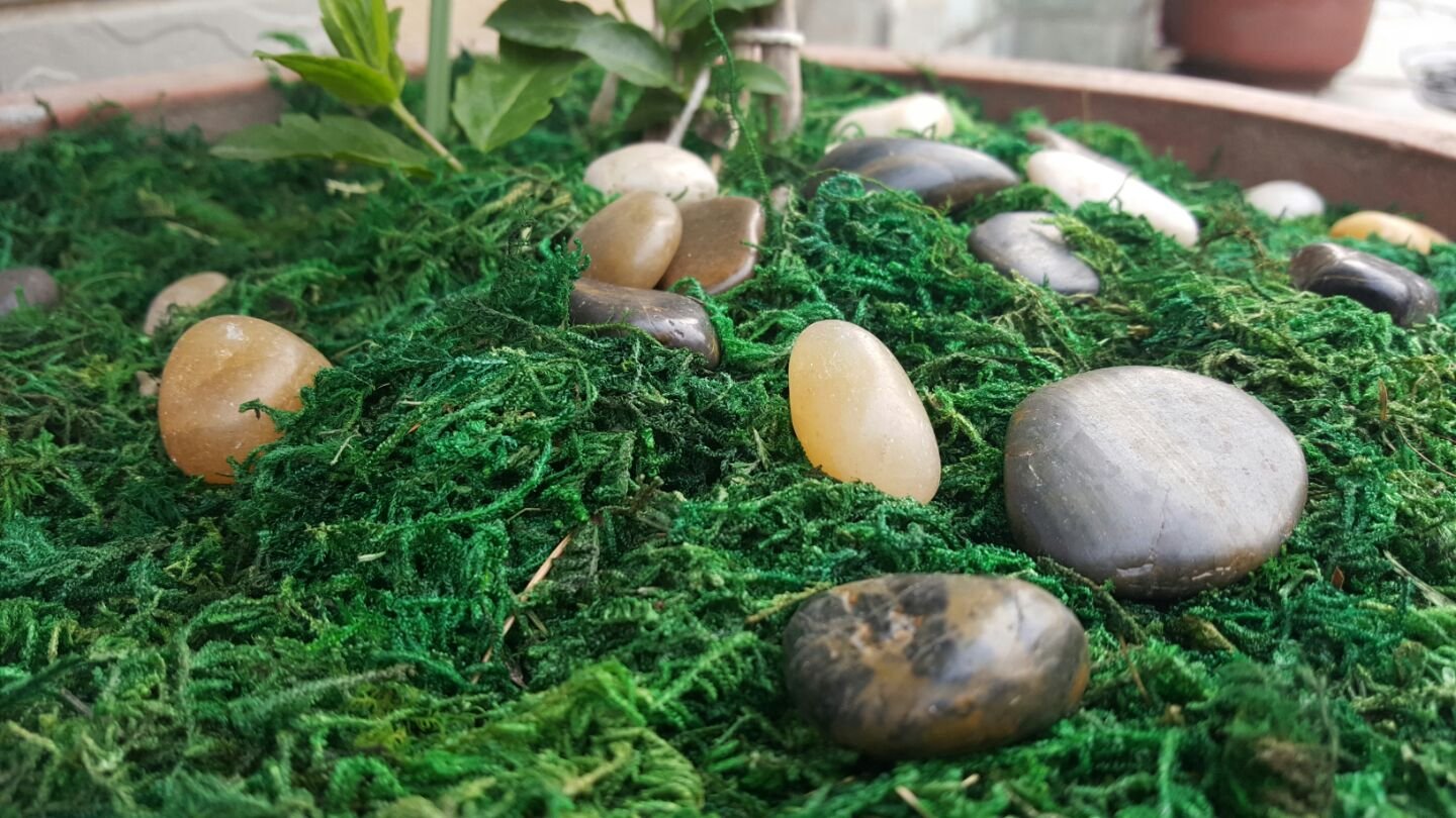 100/50/30g Artificial Green Moss Plant Eternal Life Moss Mat Potted Plant Fake Flower Home Garden Decoration DIY Craft Gifts - | PH