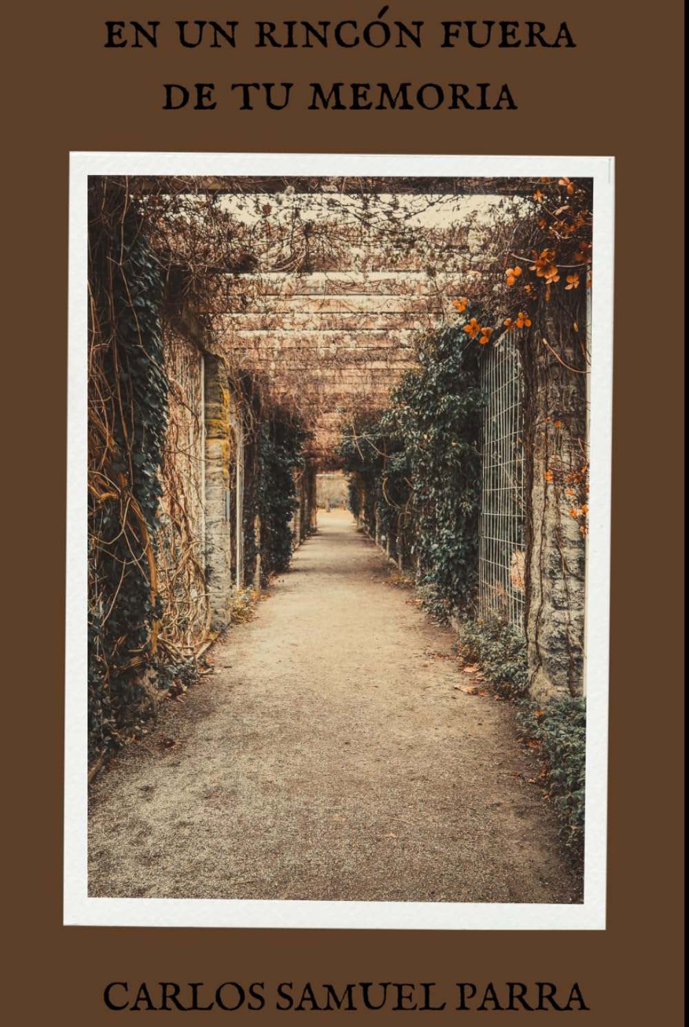 En un rincón fuera de tu memoria