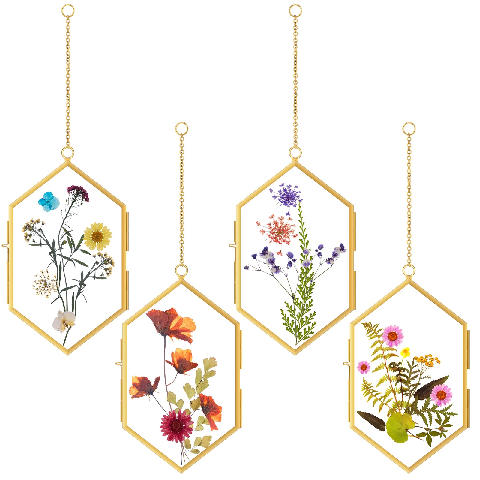 Qunclay 4 Stück schwebender Blumenrahmen zum Aufhängen, gepresster Blumenrahmen, DIY, sechseckiges Glas mit Kette, doppeltes schwimmendes Bild, geometrische Wanddekoration für Bild in der Heimgalerie