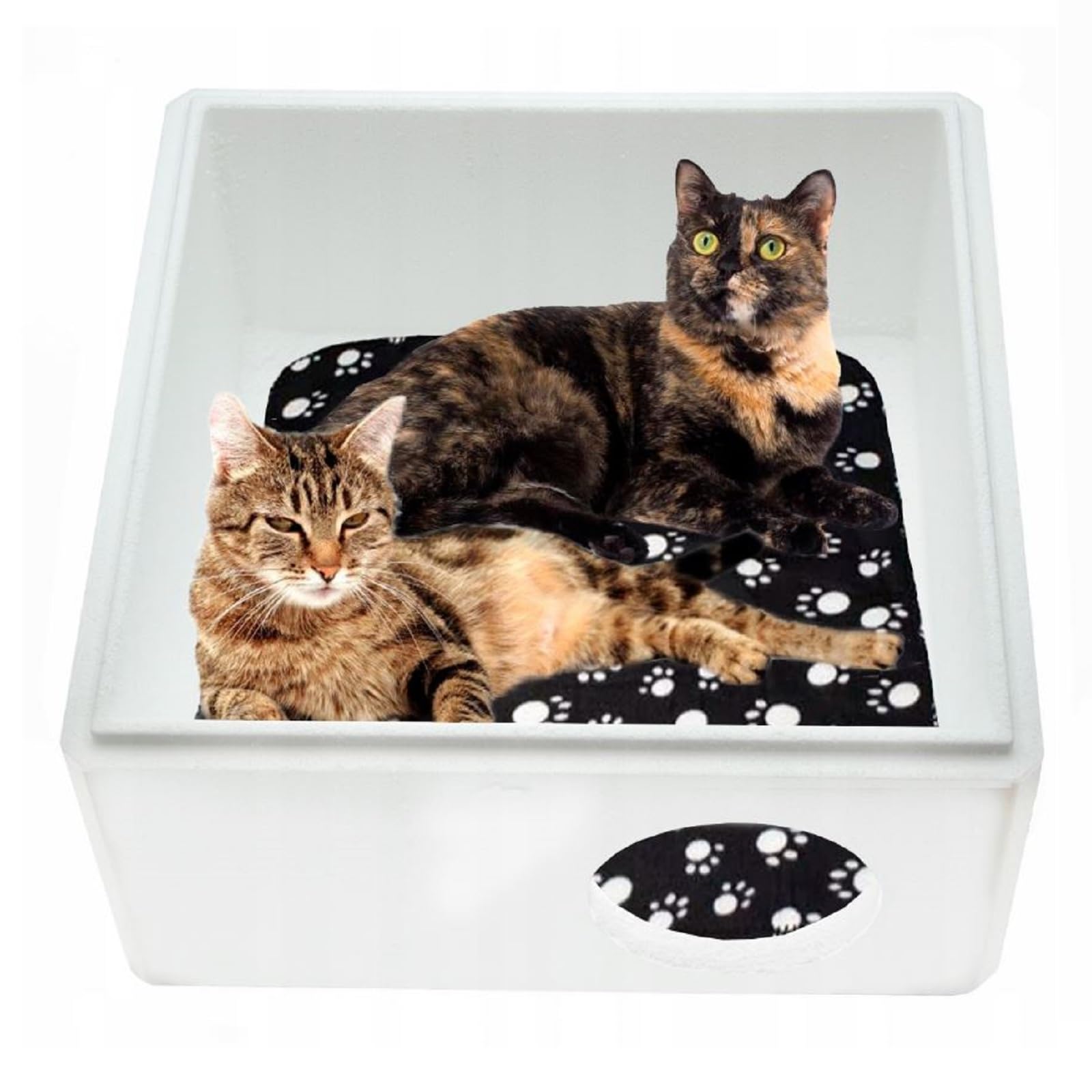 QLS Katzenhaus aus Styropor mit OSB Verkleidung 43 x 41 cm Natur