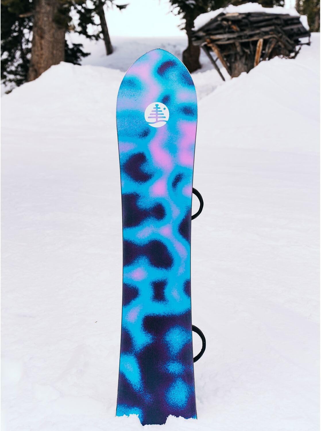 Burton Family Tree Sketch Artist Camber Snowboard 2026