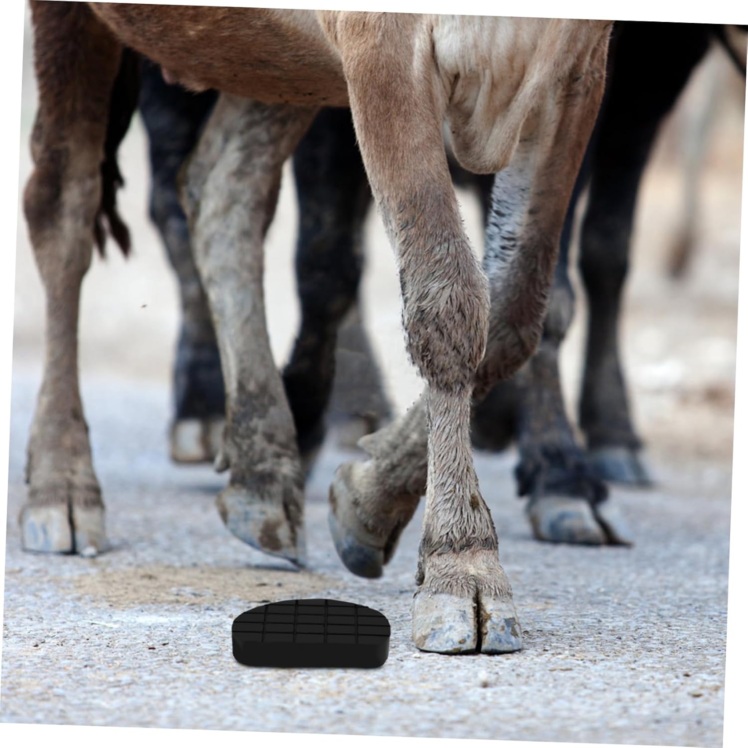 GANAZONO Rubber Hoof Pads for Cattle Soft Protective Pads for Horse Hoof Care Glue Essential Pasture Tool