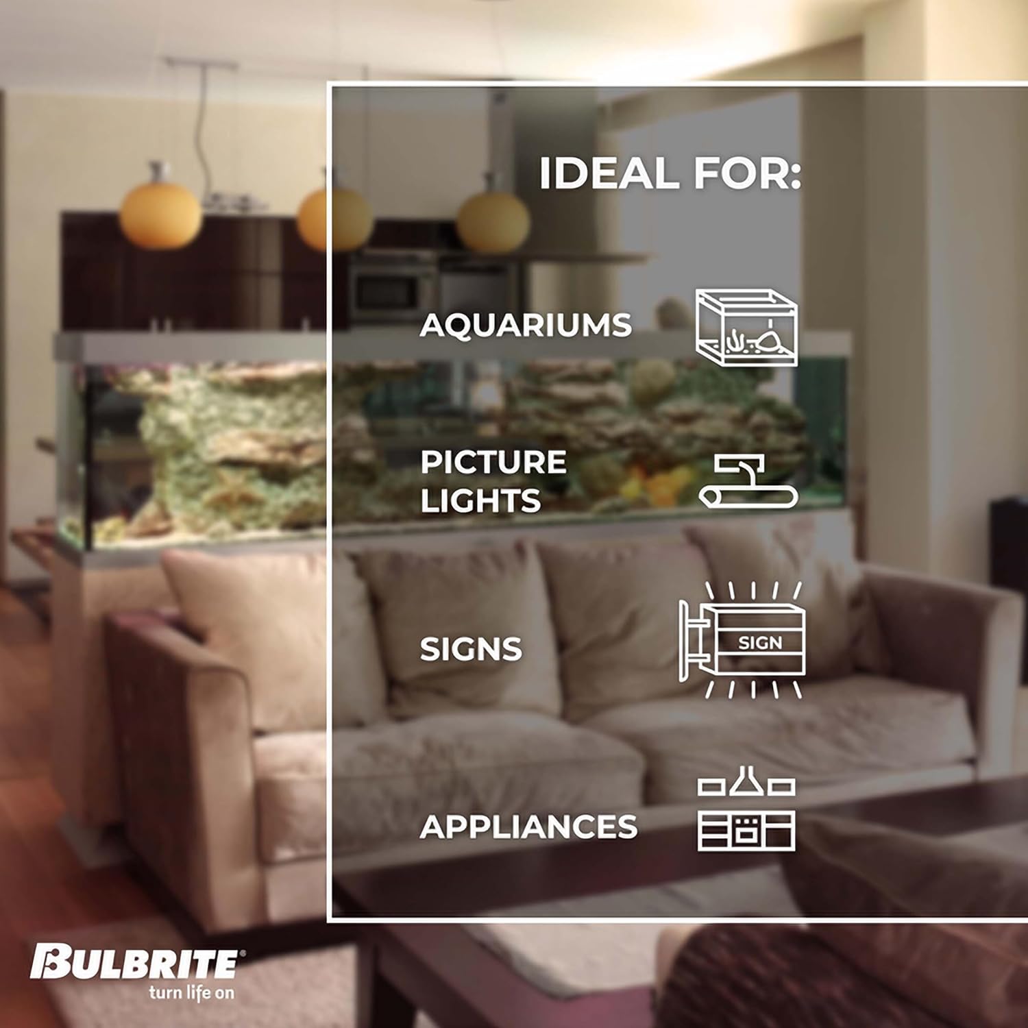 Bulbrite 704060 60t10f 60 Watts E26 Base 2700k (4 Pack 60 Bulbrite 60T10F  Tubular Bulbs - 60W T10 Frosted Flood Lights 2700K 480 Lumens (4-Pack) Led  Bulb Bulbrite 704060 60T10F 60ワット E26ベース 2700K (4パック)