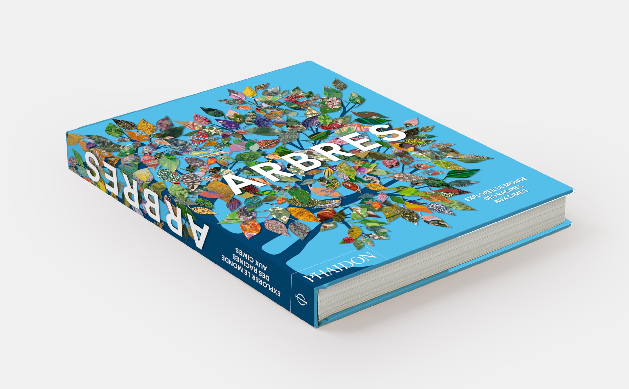 Arbres: Explorer le monde, des racines aux cimes