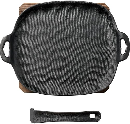 Oigen Nambu Ironware U-33 - Parrilla para sartén tipo sólido, color negro