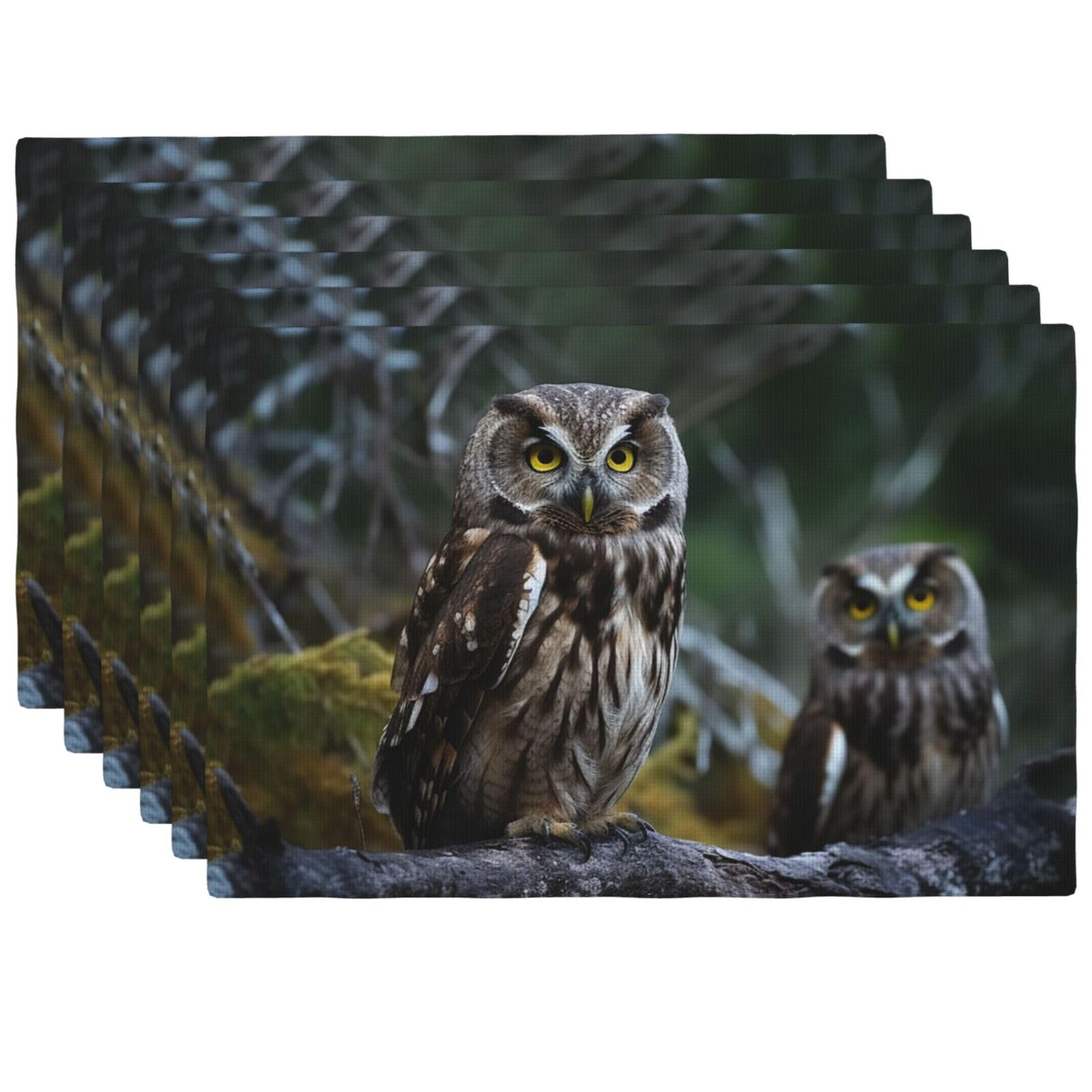 Set de table thermorésistant et lavable motif oiseaux lot de 4