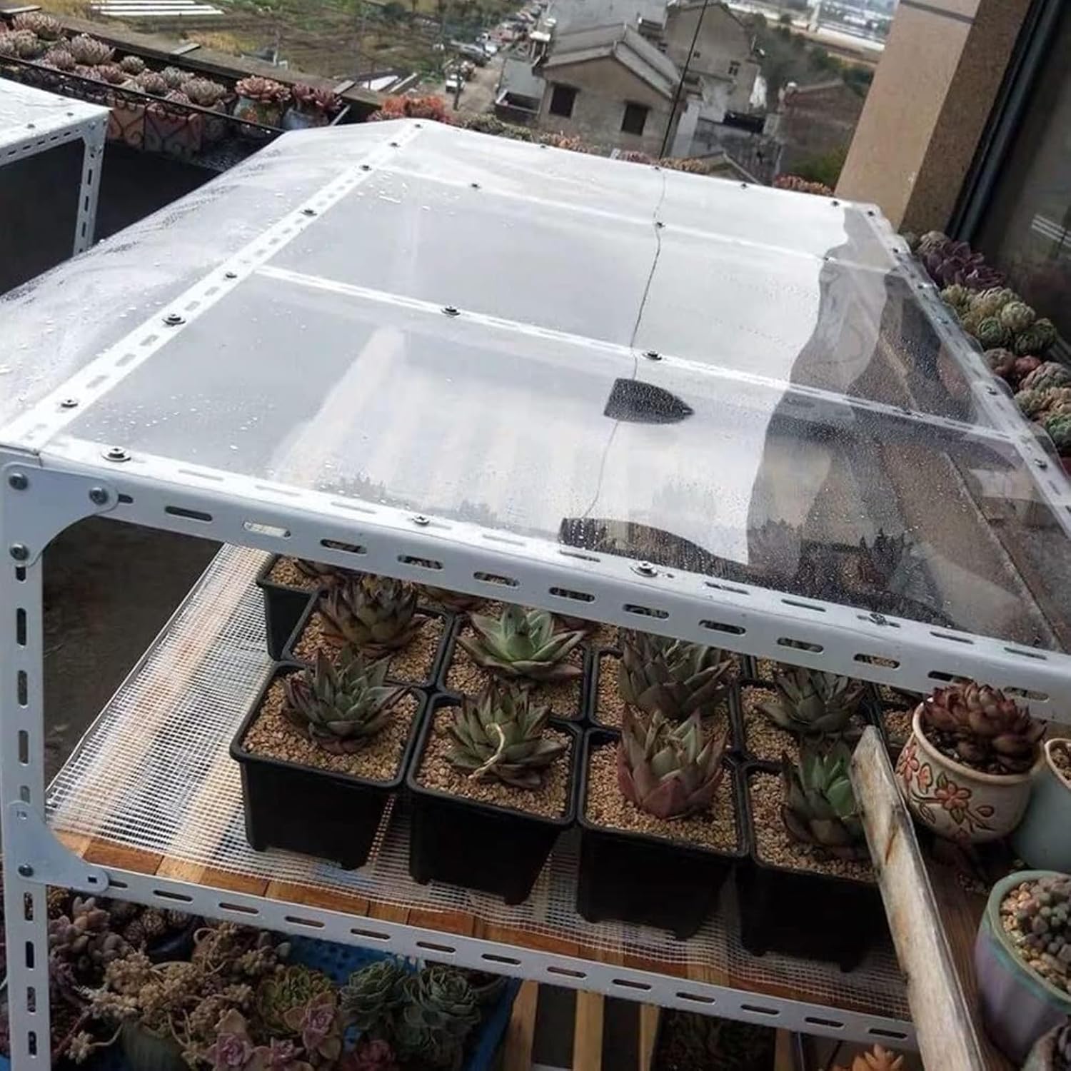 Polycarbonate Roof Sheet,Clear Acrylic Plastic Sheet,Roofing Canopies,Greenhouses Cladding,UV Protected,for Canopy Carport Stadiums Bus Shelters Replacement Panels (0.6x6m(1.97x19.7ft))