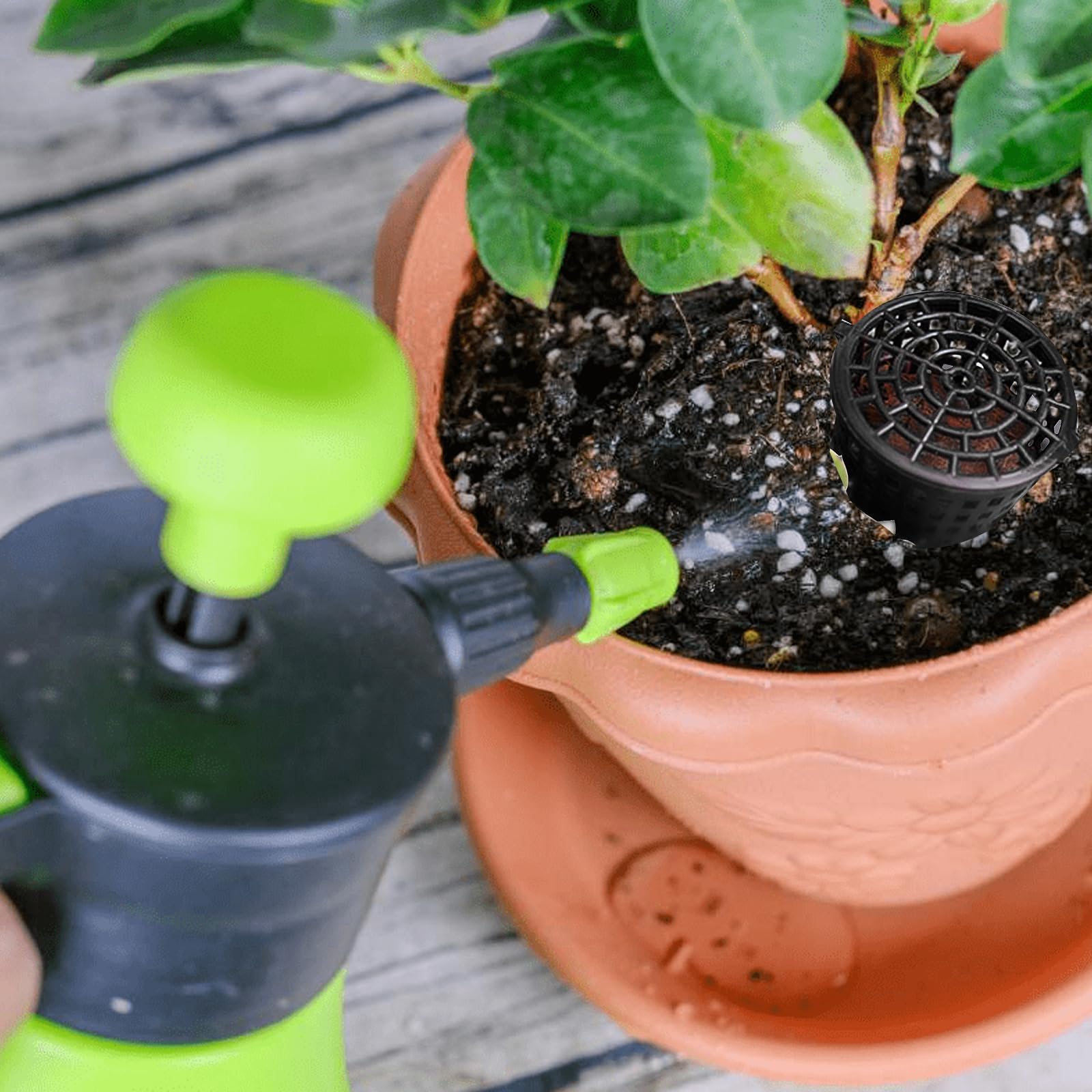 TECKI 30 Pièces Boîte Engrais Bonsai Plastique Noir avec Couvercle