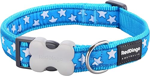 Red Dingo Design Dog Collar - Small - Stars Turquoise - Heavy Duty Premium Nylon with Iconic Strength-Tested Bucklebone Clip & Rust-Proof D-Ring
