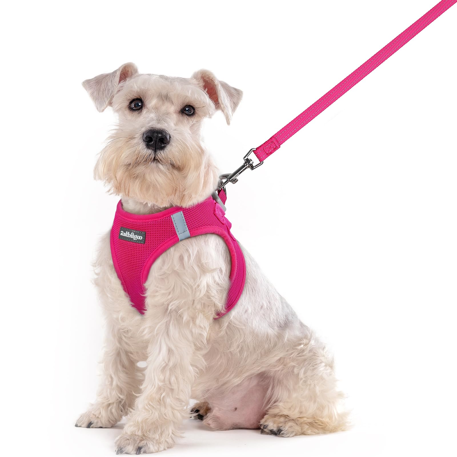 rabbitgoo Dog Harness Medium Sized and Leash Set, Step-in Puppy Pet Vest