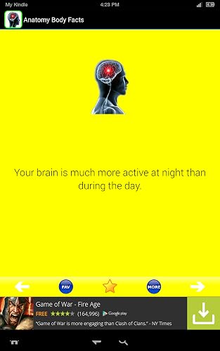 Anatomy Body Facts! Fun Human Anatomy and Physiology Flash Cards app FREE! Learn about Bones, Skin, Organs, Muscles, Brain, and the Body Parts Atlas of Science Systems for Kids! Cool & Random Virtual Surgery Simulator for Plastic, Leg, Eye, Hair! – vue 2